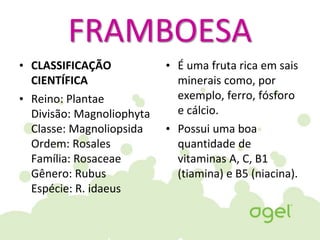 FRAMBOESA
• CLASSIFICAÇÃO
CIENTÍFICA
• Reino: Plantae
Divisão: Magnoliophyta
Classe: Magnoliopsida
Ordem: Rosales
Família: Rosaceae
Gênero: Rubus
Espécie: R. idaeus
• É uma fruta rica em sais
minerais como, por
exemplo, ferro, fósforo
e cálcio.
• Possui uma boa
quantidade de
vitaminas A, C, B1
(tiamina) e B5 (niacina).
 