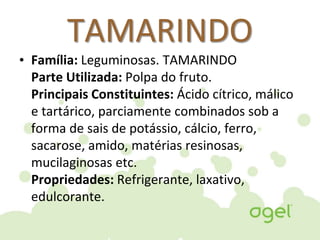 TAMARINDO
• Família: Leguminosas. TAMARINDO
Parte Utilizada: Polpa do fruto.
Principais Constituintes: Ácido cítrico, málico
e tartárico, parciamente combinados sob a
forma de sais de potássio, cálcio, ferro,
sacarose, amido, matérias resinosas,
mucilaginosas etc.
Propriedades: Refrigerante, laxativo,
edulcorante.
 
