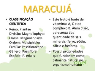 MARACUJÁ
• CLASSIFICAÇÃO
CIENTÍFICA
• Reino: Plantae
Divisão: Magnoliophyta
Classe: Magnoliopsida
Ordem: Malpighiales
Família: Passifloraceae
Gênero: Passiflora
Espécie: P. edulis
• Este fruto é fonte de
vitaminas A, C e do
complexo B. Além disso,
apresenta boa
quantidade de sais
minerais (ferro, sódio,
cálcio e fósforo).
• Possui propriedades
que funcionam como
calmante natural no
organismo humano
 