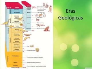 Eras 
Geológicas 
 