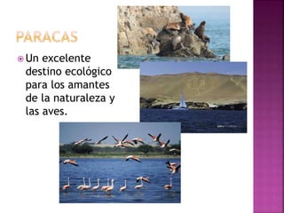  Un excelente
destino ecológico
para los amantes
de la naturaleza y
las aves.
 