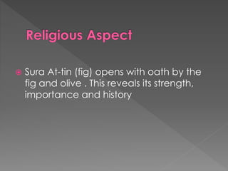  Sura At-tin (fig) opens with oath by the
fig and olive . This reveals its strength,
importance and history
 