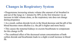 Comprehensive Overview of Physiological Changes During Pregnancy | PPTX