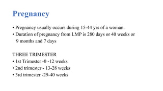 Comprehensive Overview of Physiological Changes During Pregnancy | PPTX