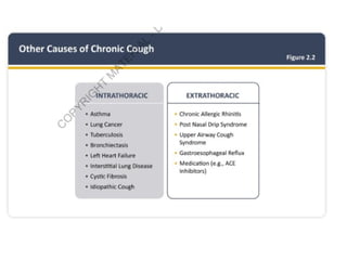 Comprehensive Overview of GOLD 2026 Updates in COPD Management | PPTX