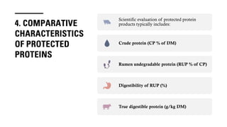 Protein Rumen By-Pass Proteins (Protected Proteins )in Ruminant Nutrition By mohamed ...