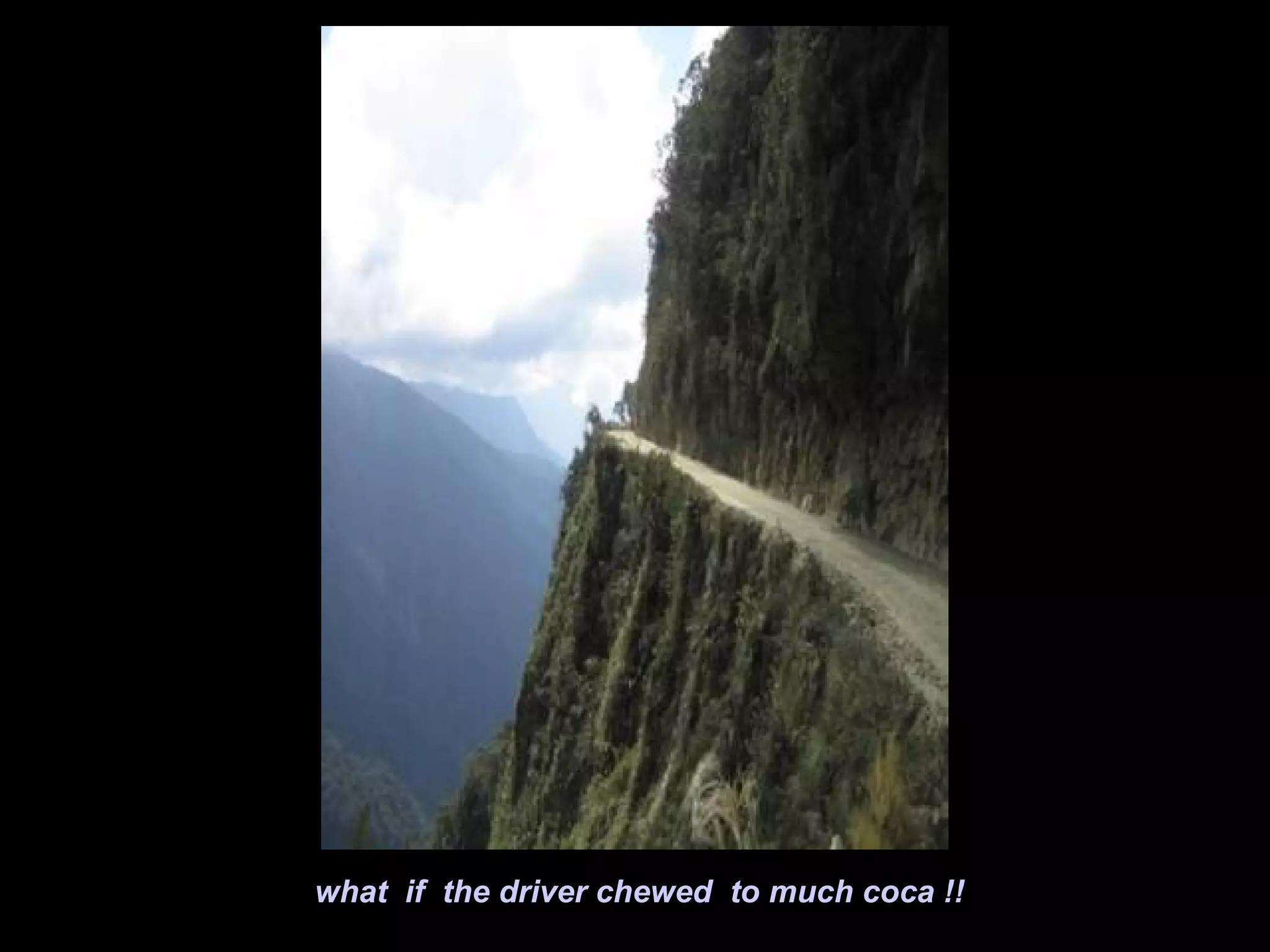 what if the driver chewed to much coca !!