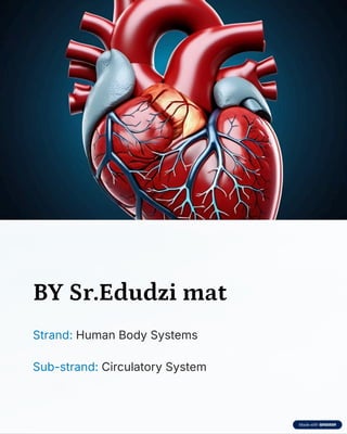 Comprehensive Overview of the Human Circulatory System and Heart ...