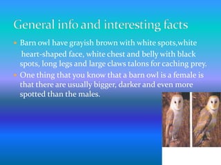  Barn owl have grayish brown with white spots,white
heart-shaped face, white chest and belly with black
spots, long legs and large claws talons for caching prey.
 One thing that you know that a barn owl is a female is
that there are usually bigger, darker and even more
spotted than the males.
 