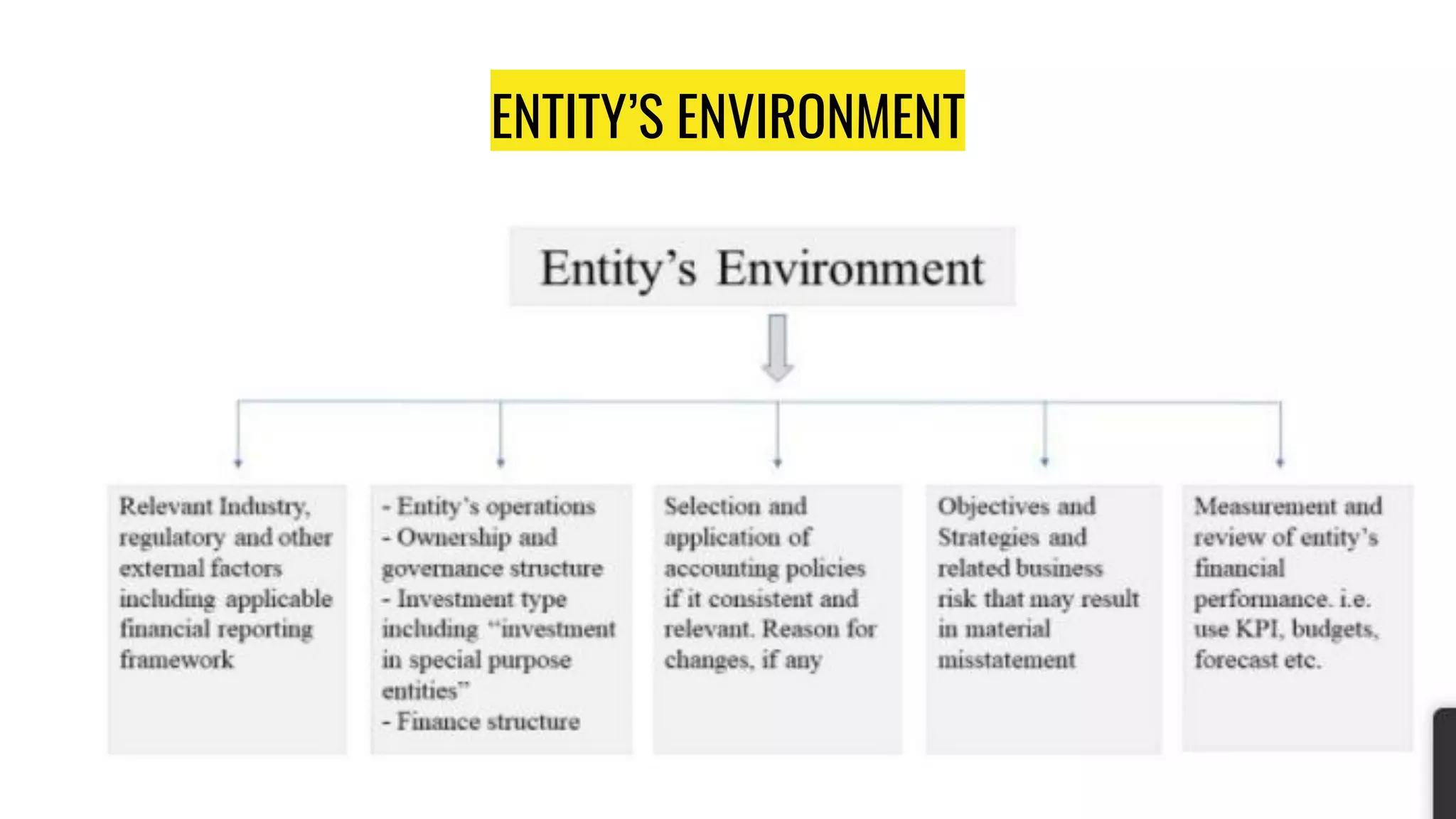 ENTITY’S ENVIRONMENT
 
