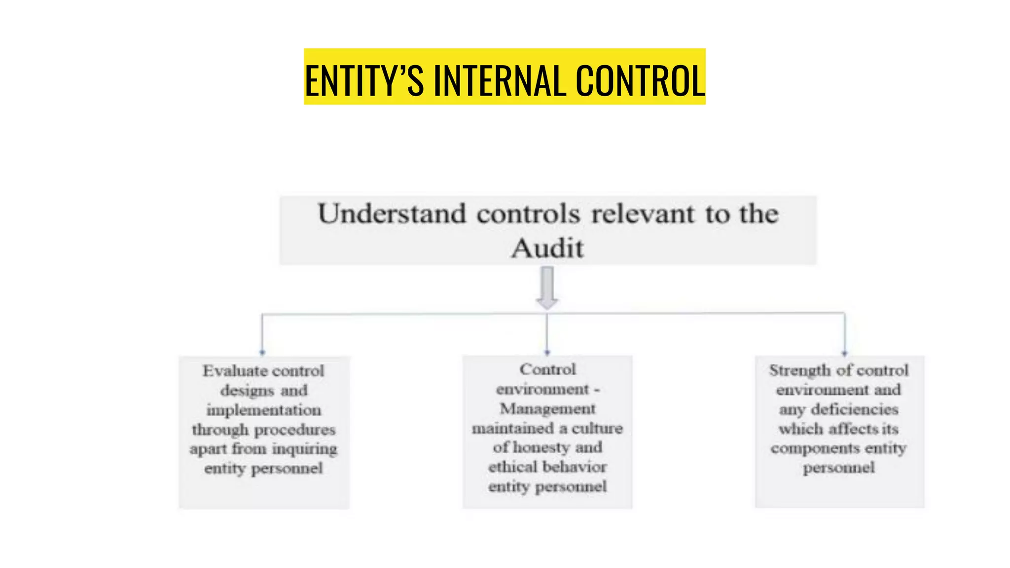 ENTITY’S INTERNAL CONTROL
 