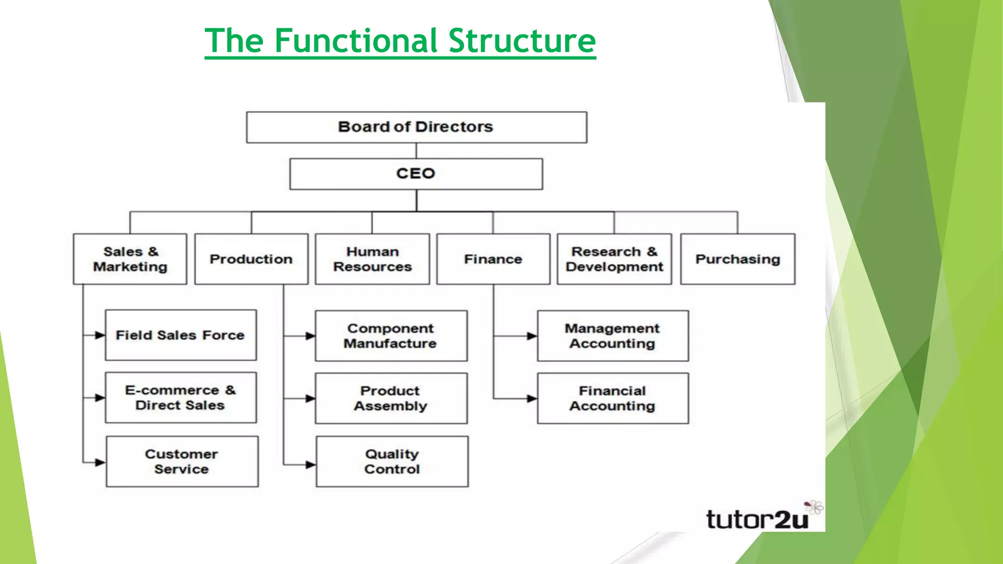 The Functional Structure
 