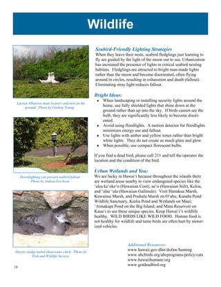 Wildlife
                                                   Seabird-Friendly Lighting Strategies
                                                   When they leave their nests, seabird fledglings just learning to
                                                   fly are guided by the light of the moon out to sea. Urbanization
                                                   has increased the presence of lights in critical seabird nesting
                                                   habitats. Fledglings are attracted to bright man-made lights
                                                   rather than the moon and become disoriented, often flying
                                                   around in circles, resulting in exhaustion and death (fallout).
                                                   Eliminating stray light reduces fallout.

                                                   Bright Ideas:
                                                    #" When landscaping or installing security lights around the
 Laysan Albatross mate in pairs and nest on the
      ground. Photo by Lindsay Young.
                                                       home, use fully shielded lights that shine down at the
                                                       ground rather than up into the sky. If birds cannot see the
                                                       bulb, they are significantly less likely to become disori-
                                                       ented.
                                                    #" Avoid using floodlights. A motion detector for floodlights
                                                       minimizes energy use and fallout.
                                                    #" Use lights with amber and yellow tones rather than bright
                                                       white lights. They do not create as much glare and glow.
                                                    #" When possible, use compact florescent bulbs.

                                                   If you find a dead bird, please call 211 and tell the operator the
                                                   location and the condition of the bird.

                                                   Urban Wetlands and You:
     Downlighting can prevent seabird fallout.     We are lucky in Hawai‘i because throughout the islands there
           Photo by Andrea Erichsen.               are wetland areas nearby to view endangered species like the
                                                   ‘alea ke‘oke‘o (Hawaiian Coot), ae‘o (Hawaiian Stilt), Koloa,
                                                   and ‘alae ‘ula (Hawaiian Gallinule). Visit H!m!kua Marsh,
                                                   Kawainui Marsh, and Pouhala Marsh on O‘ahu; Kanah! Pond
                                                   Wildlife Sanctuary, Ke!lia Pond and Wetlands on Maui;
                                                   ‘Aimakap! Pond on the Big Island; and M!n! Reservoir on
                                                   Kaua‘i to see these unique species. Keep Hawai‘i’s wildlife
                                                   healthy. WILD BIRDS LIKE WILD FOOD. Human food is
                                                   not healthy for wildlife and tame birds are often hurt by motor-
                                                   ized vehicles.



                                                                       Additional Resources:
Downy wedge-tailed shearwater chick. Photo by
                                                                       www.hawaii.gov/dlnr/dofaw/hunting
         Fish and Wildlife Service.                                    www.abcbirds.org/abcprograms/policy/cats
                                                                       www.hawaiihumane.org
18
                                                                       www.gotdeadbird.org
 