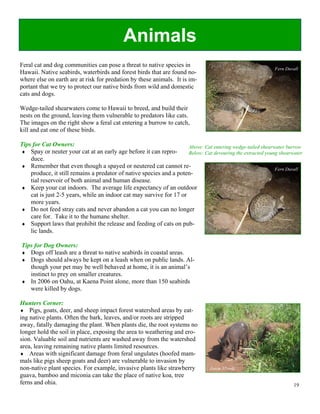 Animals
Feral cat and dog communities can pose a threat to native species in
                                                                                                            Fern Duvall
Hawaii. Native seabirds, waterbirds and forest birds that are found no-
where else on earth are at risk for predation by these animals. It is im-
portant that we try to protect our native birds from wild and domestic
cats and dogs.

Wedge-tailed shearwaters come to Hawaii to breed, and build their
nests on the ground, leaving them vulnerable to predators like cats.
The images on the right show a feral cat entering a burrow to catch,
kill and eat one of these birds.

Tips for Cat Owners:                                                 Above: Cat entering wedge-tailed shearwater burrow
#" Spay or neuter your cat at an early age before it can repro-      Below: Cat devouring the extracted young shearwater
    duce.
#" Remember that even though a spayed or neutered cat cannot re-
                                                                                                            Fern Duvall
    produce, it still remains a predator of native species and a poten-
    tial reservoir of both animal and human disease.
#" Keep your cat indoors. The average life expectancy of an outdoor
    cat is just 2-5 years, while an indoor cat may survive for 17 or
    more years.
#" Do not feed stray cats and never abandon a cat you can no longer
    care for. Take it to the humane shelter.
#" Support laws that prohibit the release and feeding of cats on pub-
    lic lands.

Tips for Dog Owners:
#" Dogs off leash are a threat to native seabirds in coastal areas.
#" Dogs should always be kept on a leash when on public lands. Al-
   though your pet may be well behaved at home, it is an animal’s
   instinct to prey on smaller creatures.
#" In 2006 on Oahu, at Kaena Point alone, more than 150 seabirds
   were killed by dogs.

Hunters Corner:
#" Pigs, goats, deer, and sheep impact forest watershed areas by eat-
ing native plants. Often the bark, leaves, and/or roots are stripped
away, fatally damaging the plant. When plants die, the root systems no
longer hold the soil in place, exposing the area to weathering and ero-
sion. Valuable soil and nutrients are washed away from the watershed
area, leaving remaining native plants limited resources.
#" Areas with significant damage from feral ungulates (hoofed mam-
mals like pigs sheep goats and deer) are vulnerable to invasion by
non-native plant species. For example, invasive plants like strawberry          Jason Misaki
guava, bamboo and miconia can take the place of native koa, tree
ferns and ohia.                                                                                                     19
 