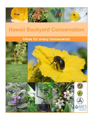 Hawaii Backyard Conservation
     Ideas for every homeowner
 