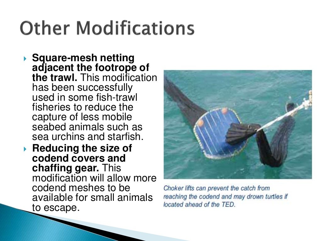 Bycatch Reduction Devices