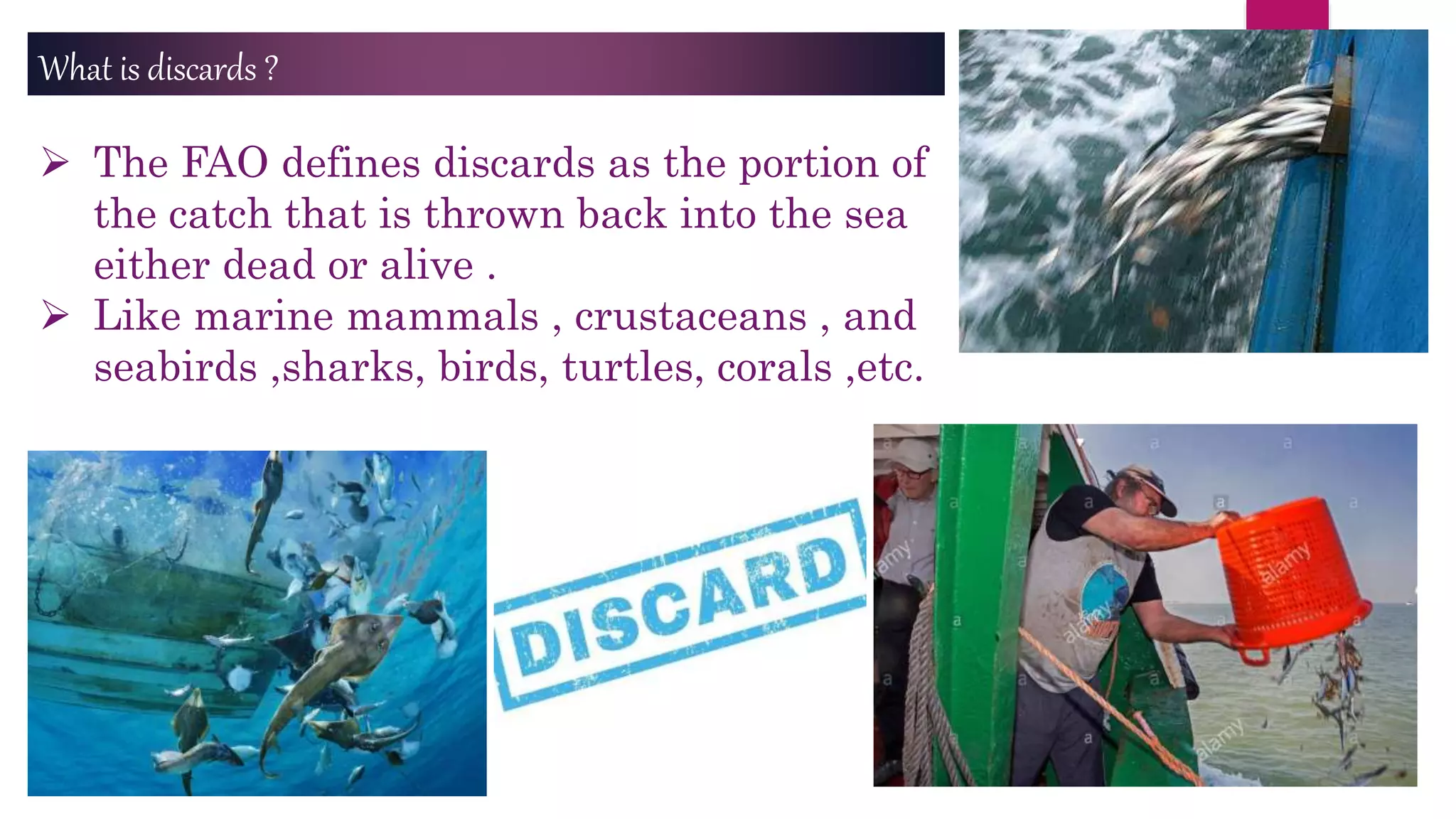 What is discards ?
 The FAO defines discards as the portion of
the catch that is thrown back into the sea
either dead or alive .
 Like marine mammals , crustaceans , and
seabirds ,sharks, birds, turtles, corals ,etc.
 