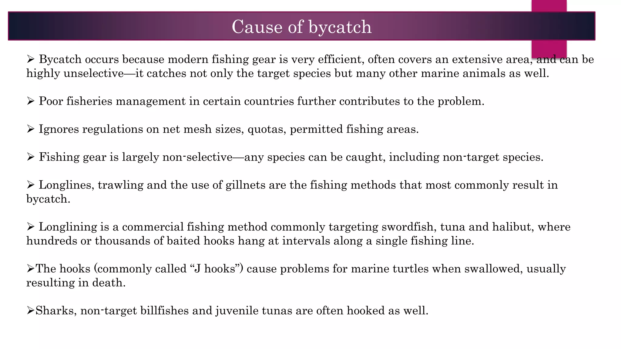 Cause of bycatch
 Bycatch occurs because modern fishing gear is very efficient, often covers an extensive area, and can be
highly unselective—it catches not only the target species but many other marine animals as well.
 Poor fisheries management in certain countries further contributes to the problem.
 Ignores regulations on net mesh sizes, quotas, permitted fishing areas.
 Fishing gear is largely non-selective—any species can be caught, including non-target species.
 Longlines, trawling and the use of gillnets are the fishing methods that most commonly result in
bycatch.
 Longlining is a commercial fishing method commonly targeting swordfish, tuna and halibut, where
hundreds or thousands of baited hooks hang at intervals along a single fishing line.
The hooks (commonly called “J hooks”) cause problems for marine turtles when swallowed, usually
resulting in death.
Sharks, non-target billfishes and juvenile tunas are often hooked as well.
 