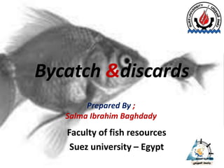 Bycatch &discards
Faculty of fish resources
Suez university – Egypt
Prepared By ;
Salma Ibrahim Baghdady
 