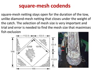 Cod End Mesh Bycatch and discards from fishing trawls | PPTX