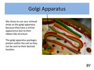 Golgi Apparatus
We chose to use sour airhead
strips as the golgi apparatus
because they have a similar
appearance due to their
ribbon-like structure.
The golgi apparatus packages
protein within the cell so they
can be sent to their desired
location.

BY

 