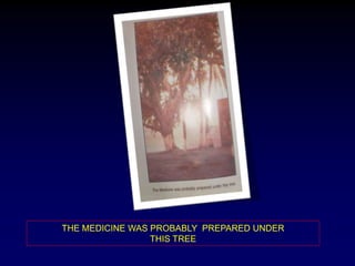 THE MEDICINE WAS PROBABLY PREPARED UNDER
THIS TREE
 