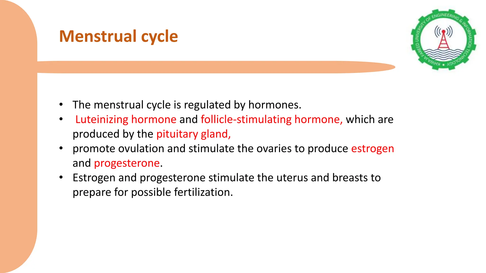 Female reproductive system,menstrual cycle, pregnancy, pregnancy ...