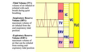 -Tidal Volume (TV):
volume of air inhaled or
exhaled with each
breath during quiet
breathing
-Inspiratory Reserve
Volume (IRV):
maximum volume of
air inhaled from the
end-inspiratory tidal
position
-Expiratory Reserve
Volume (ERV):
maximum volume of
air that can be exhaled
from resting end-
expiratory tidal position
 