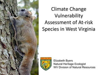 Climate Change
Vulnerability
Assessment of At-risk
Species in West Virginia
Elizabeth Byers
Natural Heritage Ecologist
WV Division of Natural Resources
 