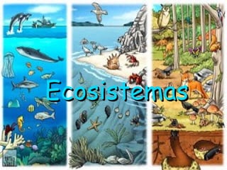 Ecosistemas

 
