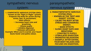 the physiology of emotions from the chapter emotions and motivation | PPTX