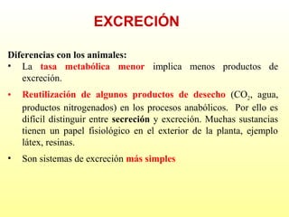 EXCRECIÓN
Diferencias con los animales:
• La tasa metabólica menor implica menos productos de
excreción.
•

Reutilización de algunos productos de desecho (CO2, agua,
productos nitrogenados) en los procesos anabólicos. Por ello es
difícil distinguir entre secreción y excreción. Muchas sustancias
tienen un papel fisiológico en el exterior de la planta, ejemplo
látex, resinas.

•

Son sistemas de excreción más simples

 