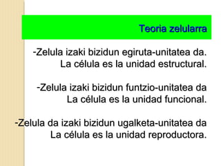 Teoria zelularraTeoria zelularra
-Zelula izaki bizidun egiruta-unitatea da.Zelula izaki bizidun egiruta-unitatea da.
La célula es la unidad estructural.La célula es la unidad estructural.
-Zelula izaki bizidun funtzio-unitatea daZelula izaki bizidun funtzio-unitatea da
La célula es la unidad funcional.La célula es la unidad funcional.
-Zelula da izaki bizidun ugalketa-unitatea daZelula da izaki bizidun ugalketa-unitatea da
La célula es la unidad reproductora.La célula es la unidad reproductora.
 