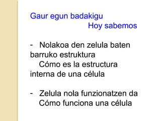 Gaur egun badakigu
Hoy sabemos
- Nolakoa den zelula baten
barruko estruktura
Cómo es la estructura
interna de una célula
- Zelula nola funzionatzen da
Cómo funciona una célula
 