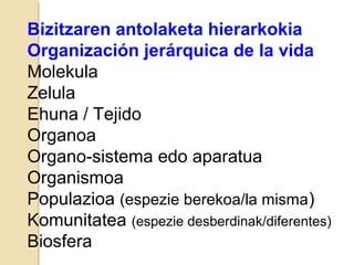 Bizitzaren antolaketa hierarkokia
Organización jerárquica de la vida
Molekula
Zelula
Ehuna / Tejido
Organoa
Organo-sistema edo aparatua
Organismoa
Populazioa (espezie berekoa/la misma)
Komunitatea (espezie desberdinak/diferentes)
Biosfera
 