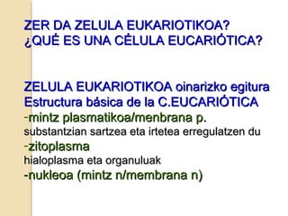 ZER DA ZELULA EUKARIOTIKOA?ZER DA ZELULA EUKARIOTIKOA?
¿QUÉ ES UNA CÉLULA EUCARIÓTICA?¿QUÉ ES UNA CÉLULA EUCARIÓTICA?
ZELULA EUKARIOTIKOA oinarizko egituraZELULA EUKARIOTIKOA oinarizko egitura
Estructura básica de la C.EUCARIÓTICAEstructura básica de la C.EUCARIÓTICA
-mintz plasmatikoa/menbrana p.mintz plasmatikoa/menbrana p.
substantzian sartzea eta irtetea erregulatzen dusubstantzian sartzea eta irtetea erregulatzen du
-zitoplasmazitoplasma
hialoplasma eta organuluakhialoplasma eta organuluak
--nukleoa (mintz n/membrana n)nukleoa (mintz n/membrana n)
 