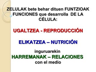 ZELULAK bete behar dituen FUNTZIOAKZELULAK bete behar dituen FUNTZIOAK
FUNCIONES que desarrolla DE LAFUNCIONES que desarrolla DE LA
CÉLULA:CÉLULA:
UGALTZEA - REPRODUCCIÓNUGALTZEA - REPRODUCCIÓN
ELIKATZEA – NUTRICIÓNELIKATZEA – NUTRICIÓN
inguruarekininguruarekin
HARREMANAK – RELACIONESHARREMANAK – RELACIONES
con el mediocon el medio
 
