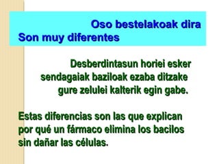 Oso bestelakoak diraOso bestelakoak dira
Son muy diferentesSon muy diferentes
Desberdintasun horiei eskerDesberdintasun horiei esker
sendagaiak baziloak ezaba ditzakesendagaiak baziloak ezaba ditzake
gure zelulei kalterik egin gabe.gure zelulei kalterik egin gabe.
Estas diferencias son las que explicanEstas diferencias son las que explican
por qué un fármaco elimina los bacilospor qué un fármaco elimina los bacilos
sin dañar las célulassin dañar las células..
 