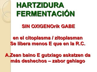 HARTZIDURAHARTZIDURA
FERMENTACIÓNFERMENTACIÓN
SIN OXIGENOrik GABESIN OXIGENOrik GABE
en el citoplasma / zitoplasmanen el citoplasma / zitoplasman
Se libera menos E que en la R.C.Se libera menos E que en la R.C.
A.Zean baino E gutxiago askatzen daA.Zean baino E gutxiago askatzen da
más deshechos – zabor gehiagomás deshechos – zabor gehiago
 