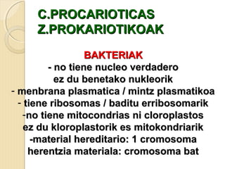 C.PROCARIOTICASC.PROCARIOTICAS
Z.PROKARIOTIKOAKZ.PROKARIOTIKOAK
BAKTERIAKBAKTERIAK
- no tiene nucleo verdadero- no tiene nucleo verdadero
ez du benetako nukleorikez du benetako nukleorik
- menbrana plasmatica / mintz plasmatikoamenbrana plasmatica / mintz plasmatikoa
- tiene ribosomas / baditu erribosomariktiene ribosomas / baditu erribosomarik
-no tiene mitocondrias ni cloroplastosno tiene mitocondrias ni cloroplastos
ez du kloroplastorik es mitokondriarikez du kloroplastorik es mitokondriarik
-material hereditario: 1 cromosoma-material hereditario: 1 cromosoma
herentzia materiala: cromosoma batherentzia materiala: cromosoma bat
 