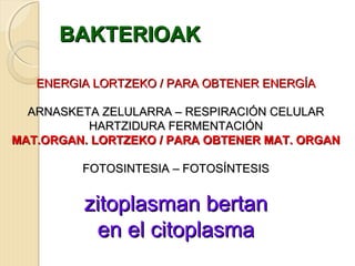 BAKTERIOAKBAKTERIOAK
ENERGIA LORTZEKO / PARA OBTENER ENERGÍAENERGIA LORTZEKO / PARA OBTENER ENERGÍA
ARNASKETA ZELULARRA – RESPIRACIÓN CELULARARNASKETA ZELULARRA – RESPIRACIÓN CELULAR
HARTZIDURA FERMENTACIÓNHARTZIDURA FERMENTACIÓN
MAT.ORGAN. LORTZEKO / PARA OBTENER MAT. ORGANMAT.ORGAN. LORTZEKO / PARA OBTENER MAT. ORGAN
FOTOSINTESIA – FOTOSÍNTESISFOTOSINTESIA – FOTOSÍNTESIS
zitoplasman bertanzitoplasman bertan
en el citoplasmaen el citoplasma
 