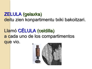 ZELULAZELULA (gelaxka)(gelaxka)
deitu zien konpartimentu txiki bakoitzari.deitu zien konpartimentu txiki bakoitzari.
LlamóLlamó CÉLULACÉLULA (celdilla)(celdilla)
a cada uno de los compartimentosa cada uno de los compartimentos
que vio.que vio.
 
