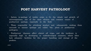 Basic Post Harvest Technologies of fruits and vegetables | PPTX