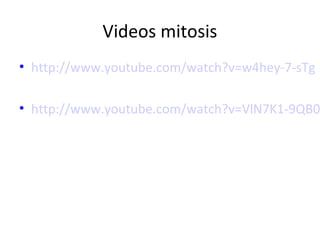 Videos mitosis
• http://www.youtube.com/watch?v=w4hey-7-sTg
• http://www.youtube.com/watch?v=VlN7K1-9QB0
 