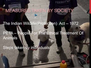 MEASURES TAKEN BY SOCIETY
The Indian Wildlife(Protection) Act C 1972
PETA C People For The Ethical Treatment Of
Animals
Steps taken by individuals
 