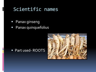 Scientific names
 Panax ginseng
 Panax quinquefolius
 Part used- ROOTS
 