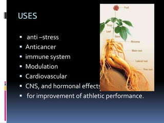 USES
 anti –stress
 Anticancer
 immune system
 Modulation
 Cardiovascular
 CNS, and hormonal effects
 for improvement of athletic performance.
 