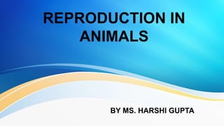 REPRODUCTION IN
ANIMALS
BY MS. HARSHI GUPTA
 