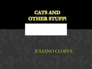 CATS AND
OTHER STUFF!




BY JULIANO CLOSTA
 
