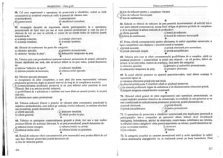 Marketing teste grila